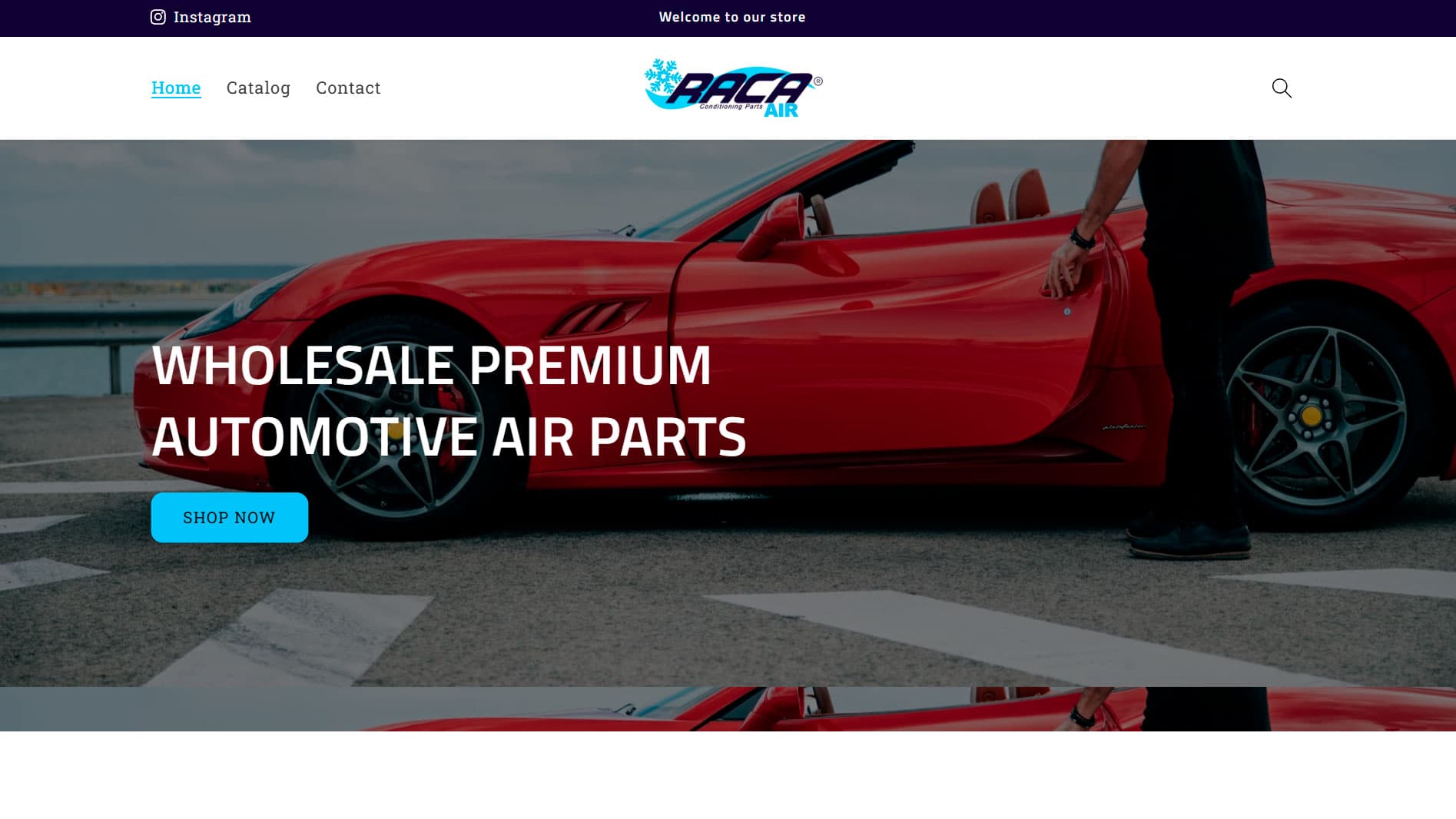 Raca Parts